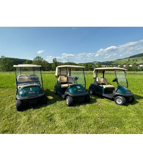 Club Car Precedent BJ 2019 Verkauf